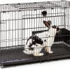 MidWest Rabbit Cage Spacious Habitat Easy Clean Assembly-8
