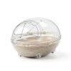 Dinosaur Hamster Sand Bath lazYYzal Acrylic-5