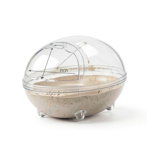 Dinosaur Hamster Sand Bath lazYYzal Acrylic-5