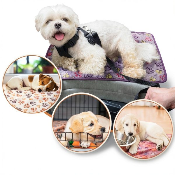 Guinea Pig Blanket Tudomro Fleece Waterproof-5