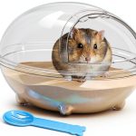 Dinosaur Hamster Sand Bath lazYYzal Acrylic-0