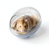 Dinosaur Hamster Sand Bath lazYYzal Acrylic-1