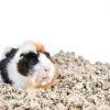 Paper Pet Bedding Absorption Corp Natural-3