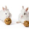 Paper Pet Bedding Absorption Corp Natural-2