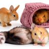 Amylove Guinea Pig Liner Washable Microfiber-4