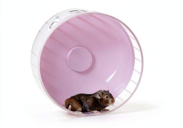 Natural Paper Pet Bedding by Absorption Corp Pet Supplies-3