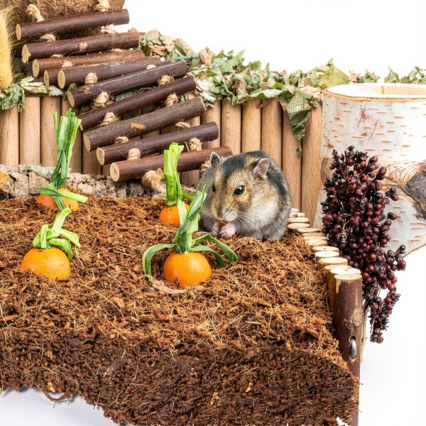 Hamster Bedding Coconut Niteangel Small Pet-2
